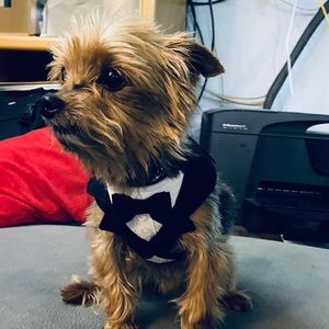 Meet your Posher, Jasmine